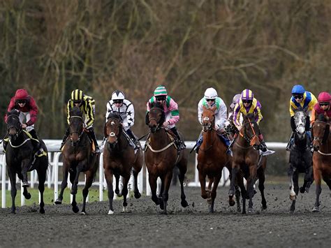 horse racing today cancelled.